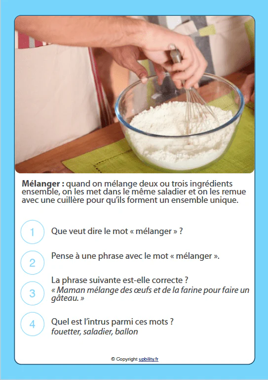 FICHES ILLUSTRÉES | Développement du vocabulaire (6-8 ans) - Image 4