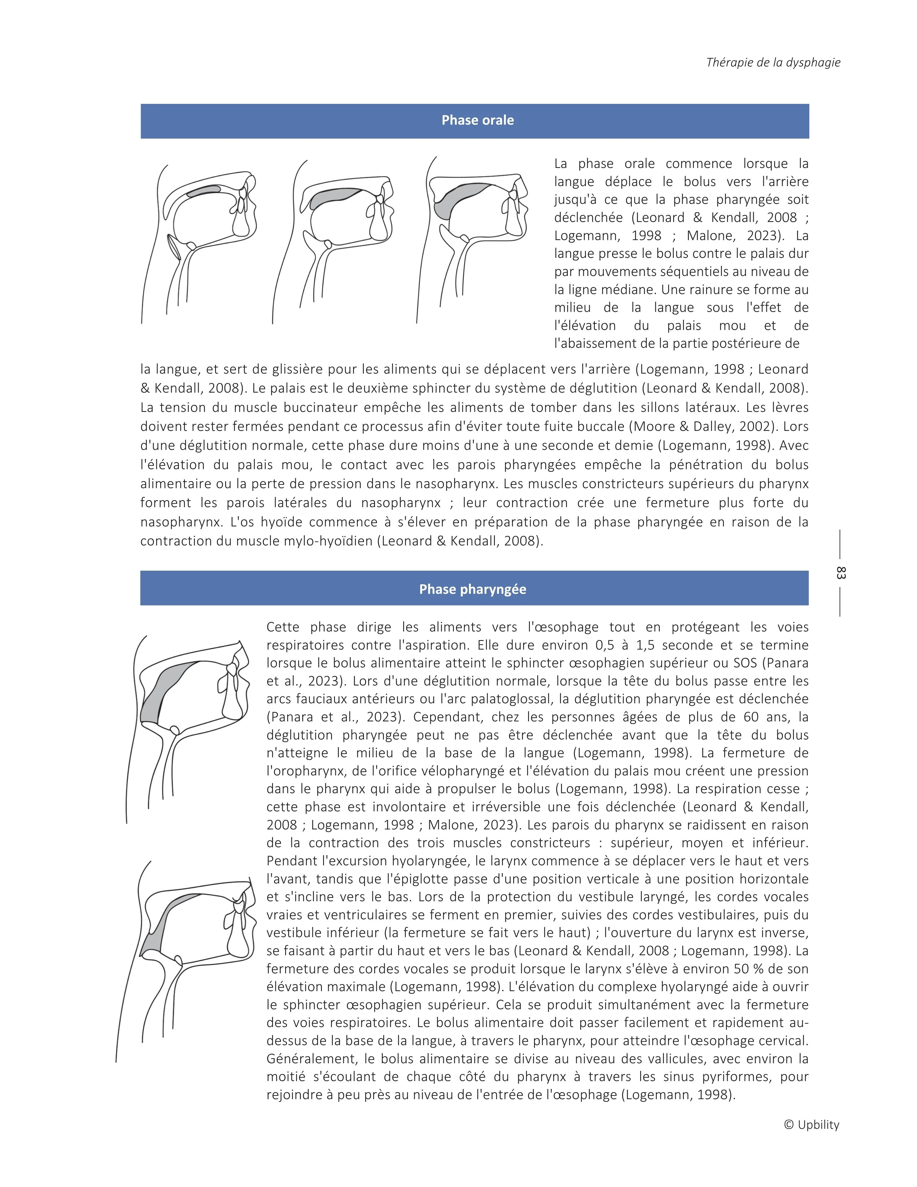 Dysphagie : Techniques, Outils et Stratégies Thérapeutiques - Image 7