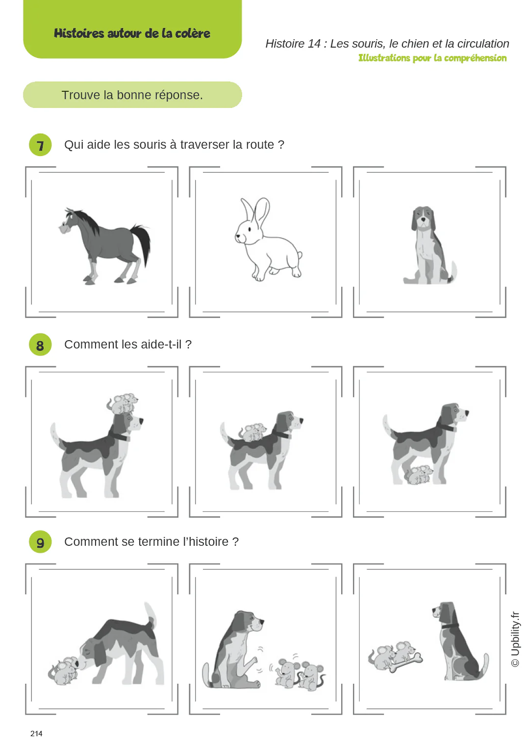 Émotions illustrées | Des histoires pour comprendre et raconter les émotions - Image 7
