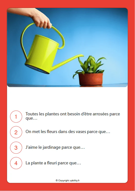 FICHES ILLUSTRÉES | Cause et effet - Image 4