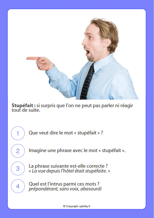 FICHES ILLUSTRÉES | Développement du vocabulaire (10-12 ans) - Image 3