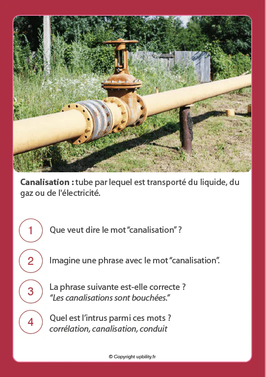 FICHES ILLUSTRÉES | Développement du vocabulaire (12-13 ans) - Image 3