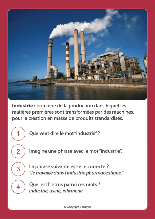 FICHES ILLUSTRÉES | Développement du vocabulaire (12-13 ans) - Image 4