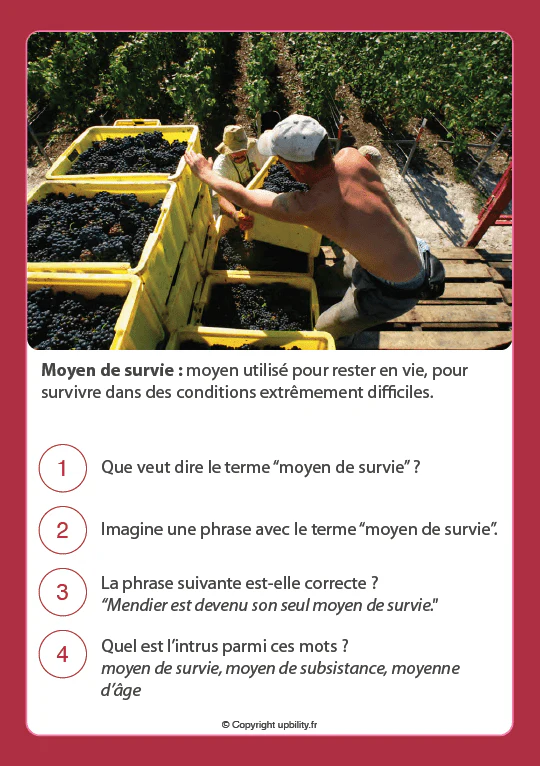 FICHES ILLUSTRÉES | Développement du vocabulaire (12-13 ans) - Image 5