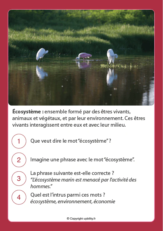 FICHES ILLUSTRÉES | Développement du vocabulaire (12-13 ans) - Image 6