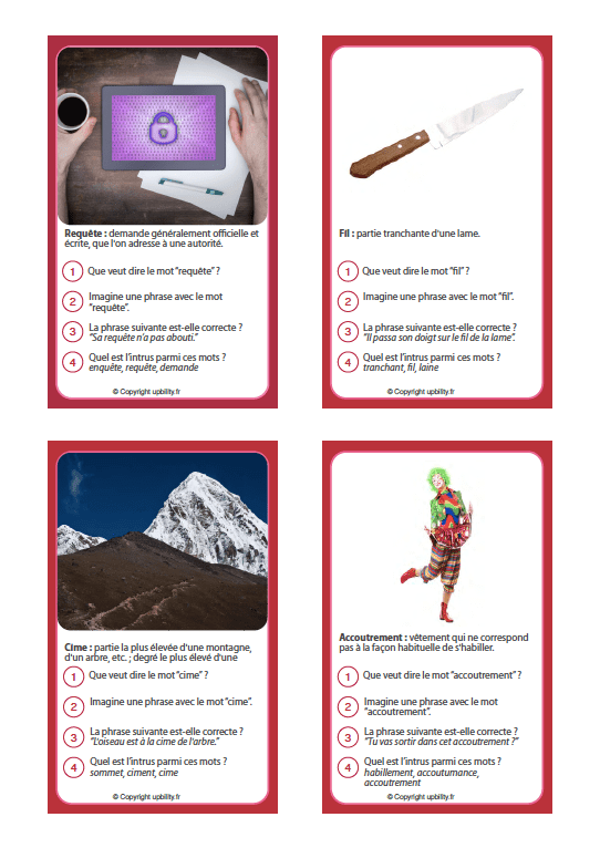 FICHES ILLUSTRÉES | Développement du vocabulaire (12-13 ans) - Image 8