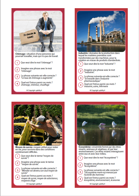FICHES ILLUSTRÉES | Développement du vocabulaire (12-13 ans) - Image 9