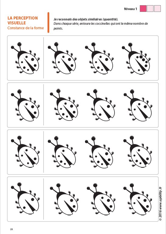 Les capacités de perception visuelle pour les enfants dyslexiques | Partie 3 : La constance de la forme - Image 3