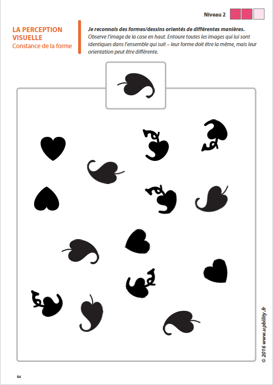 Les capacités de perception visuelle pour les enfants dyslexiques | Partie 3 : La constance de la forme - Image 6