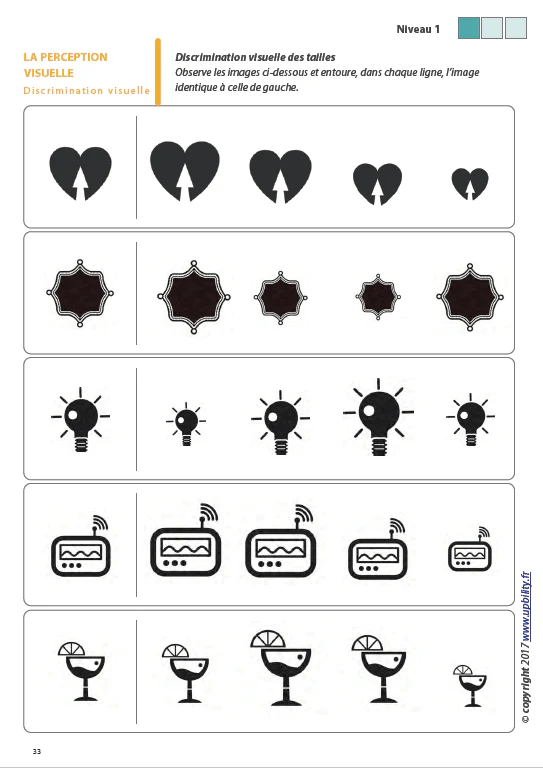 Les capacités de perception visuelle pour les enfants dyslexiques | Partie 6 : La discrimination visuelle - Image 4