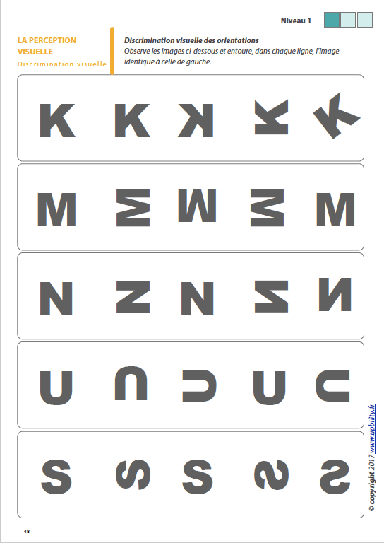 Les capacités de perception visuelle pour les enfants dyslexiques | Partie 6 : La discrimination visuelle - Image 5