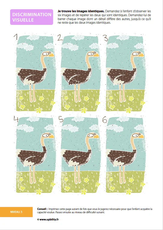 Le développement de la discrimination visuelle - Image 5