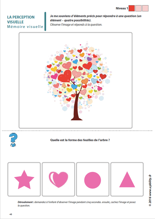 Les capacités de perception visuelle pour les enfants dyslexiques | Partie 4 : La mémoire visuelle - Image 3