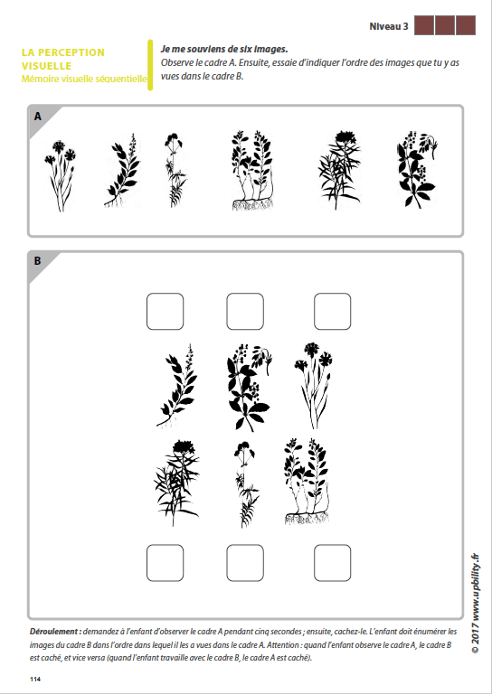 Les capacités de perception visuelle pour les enfants dyslexiques | Partie 5 : La mémoire visuelle séquentielle - Image 7
