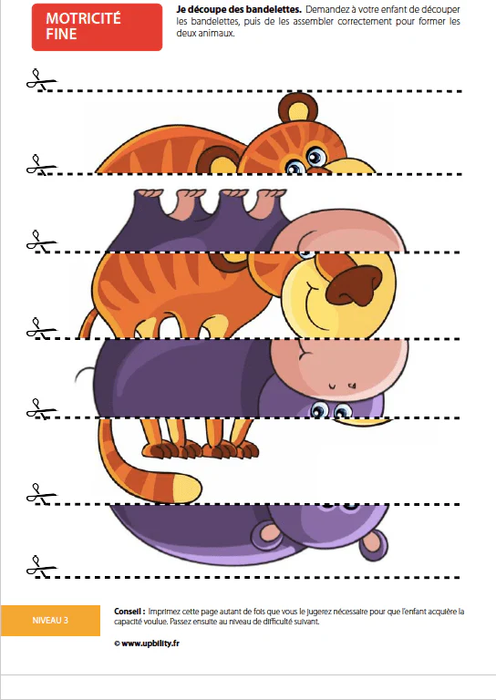 Le développement de la motricité fine - Image 5