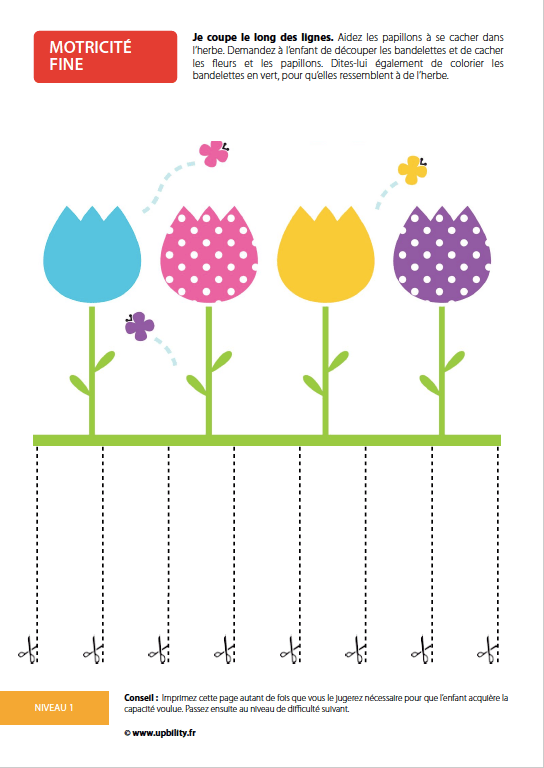Le développement de la motricité fine - Image 7