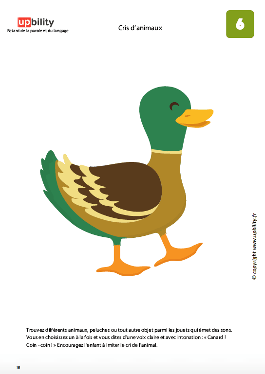 LES 100 PREMIERS MOTS | Un guide pour le développement de la parole et du langage - Image 3