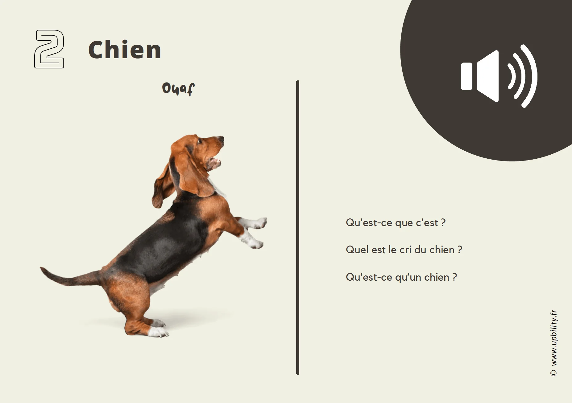 POCKET CARDS | Faire correspondre des images à des sons - Image 3