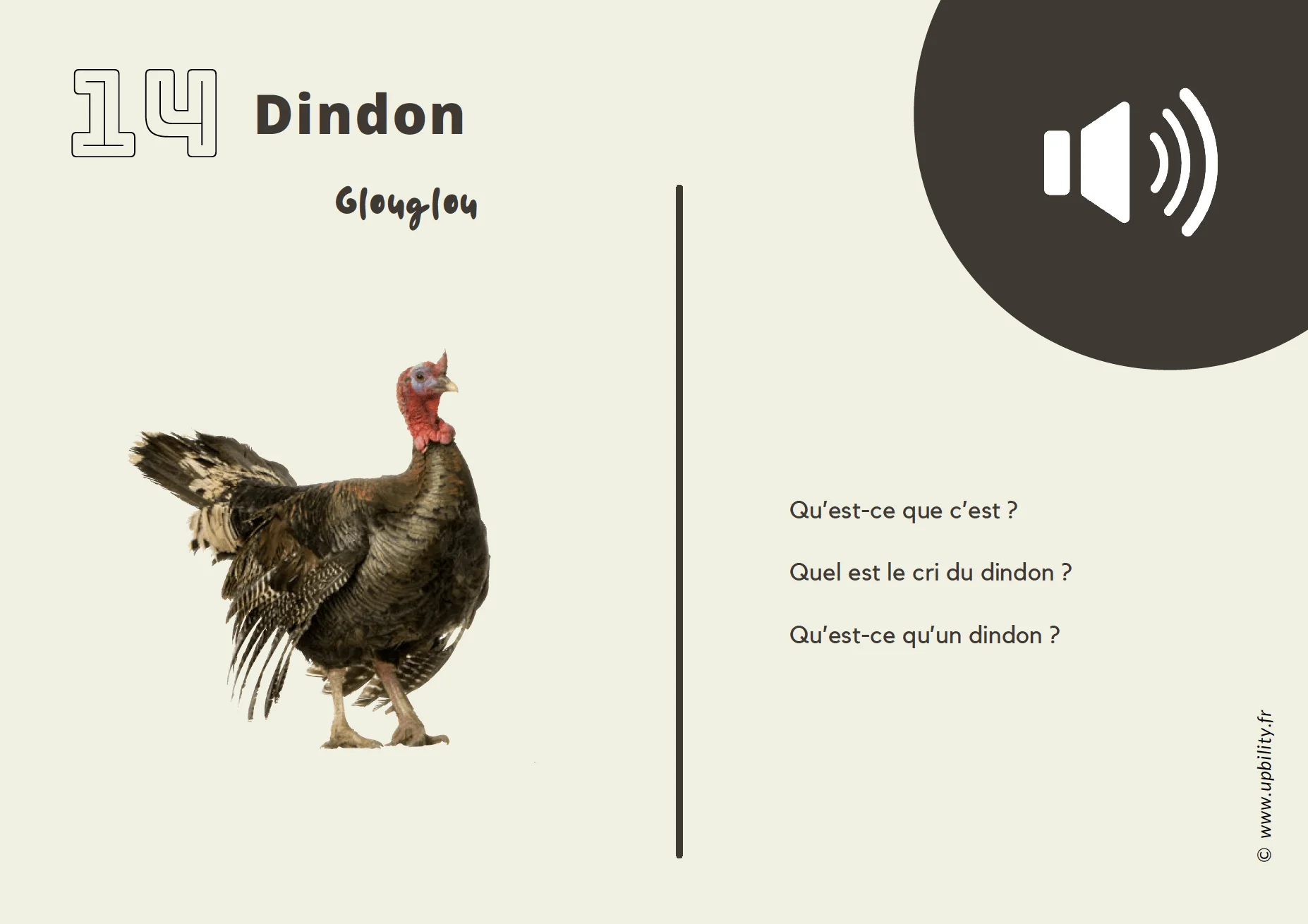 POCKET CARDS | Faire correspondre des images à des sons - Image 4